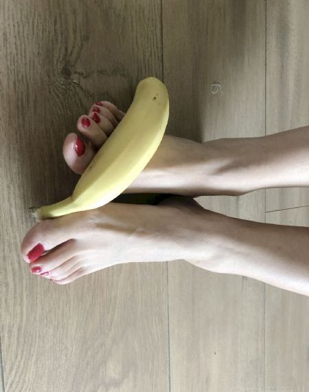 掌中之物动漫200集全_1080P免费高清观看